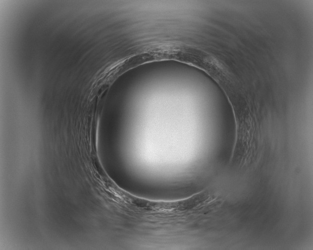 X0000057080773200509120919