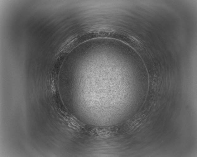 X0000057080774200509120919