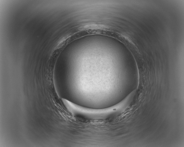 X0000057080775200509120919