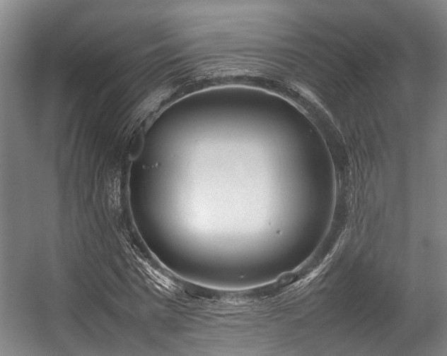 X0000057080777200509120919