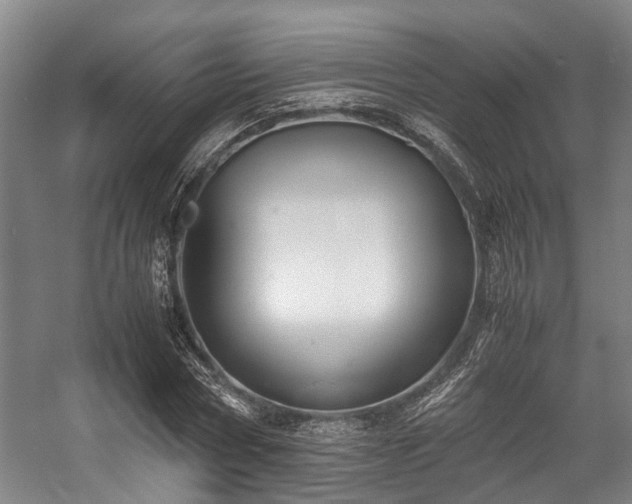 X0000057080778200509120919