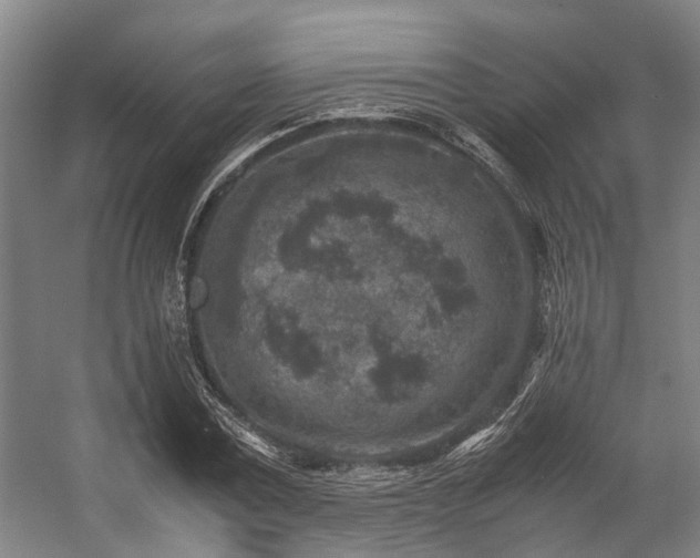 X0000057080779200509120919