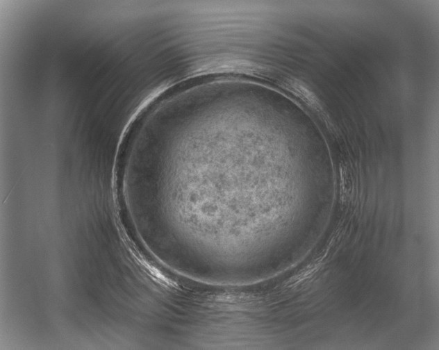 X0000057080780200509120919