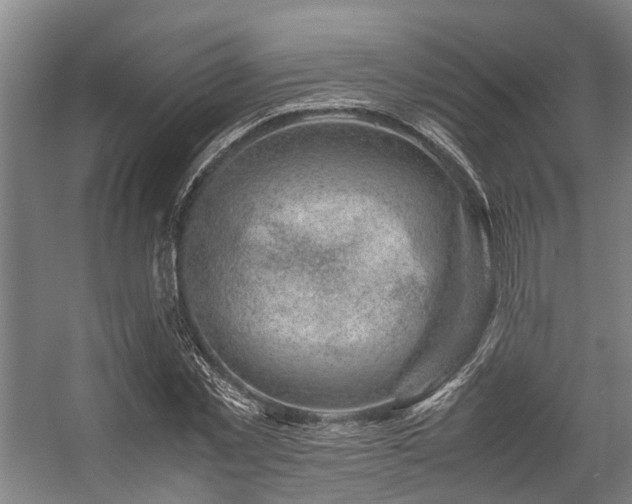 X0000057080781200509120919