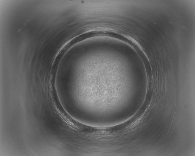 X0000057080783200509120919