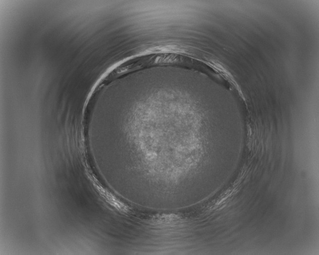 X0000057080784200509120919