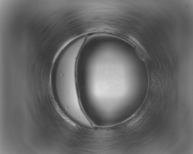 X0000057080788200509120919