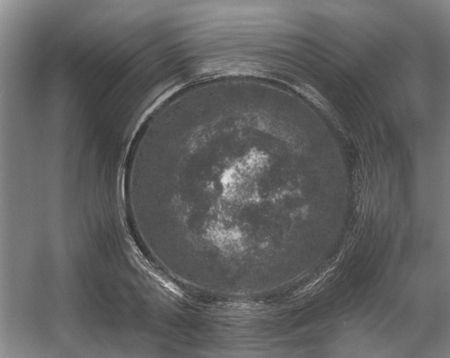 X0000057080790200509120919