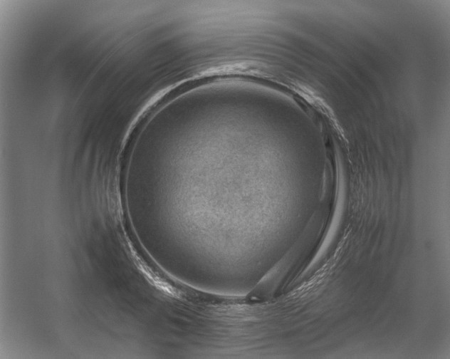 X0000057080792200509120919