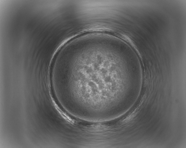 X0000057080795200509120919