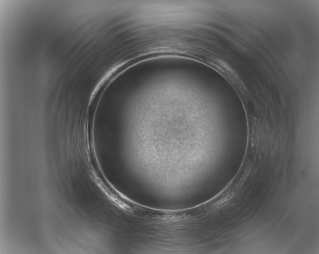 X0000057080796200509120919