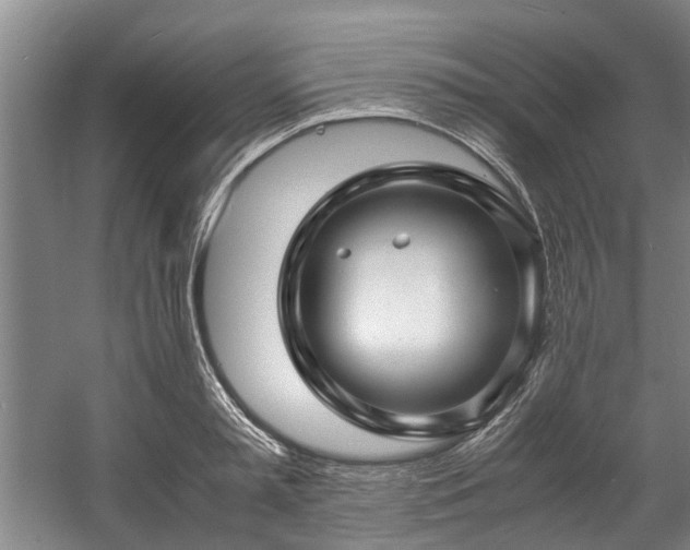 X0000057080797200509120919