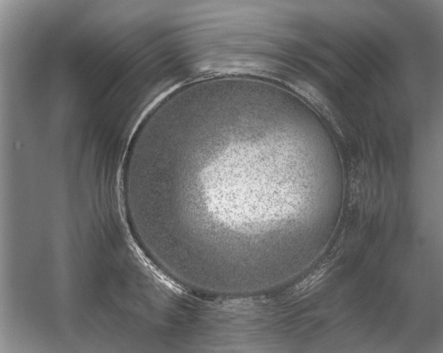 X0000057080798200509120919