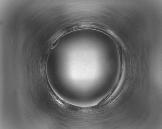 X0000057080801200509120919