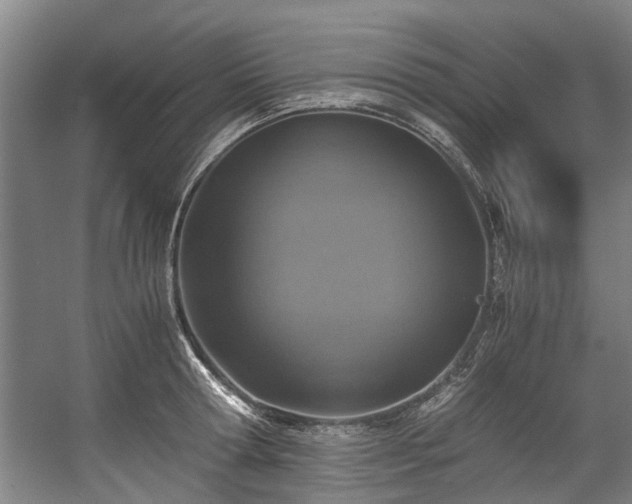 X0000057080802200509120919