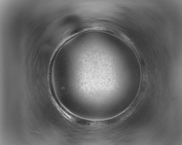 X0000057080803200509120919