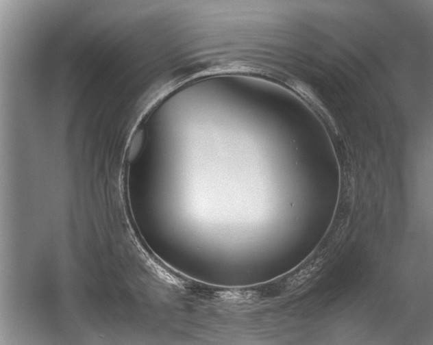 X0000057080805200509120919