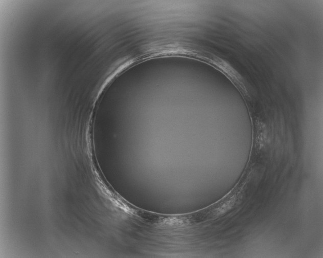 X0000057080806200509120919