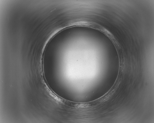 X0000057080808200509120919