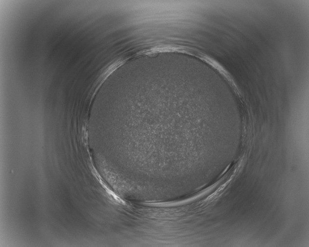 X0000057080809200509120919