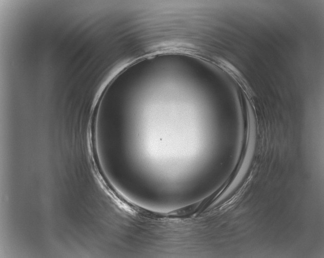 X0000057080812200509120919