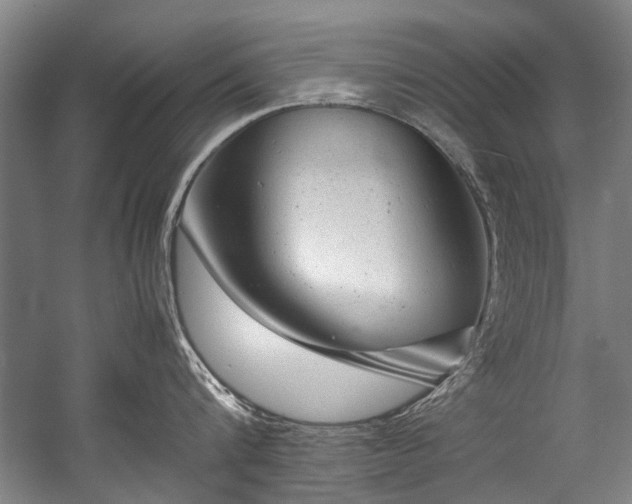 X0000057080816200509120919