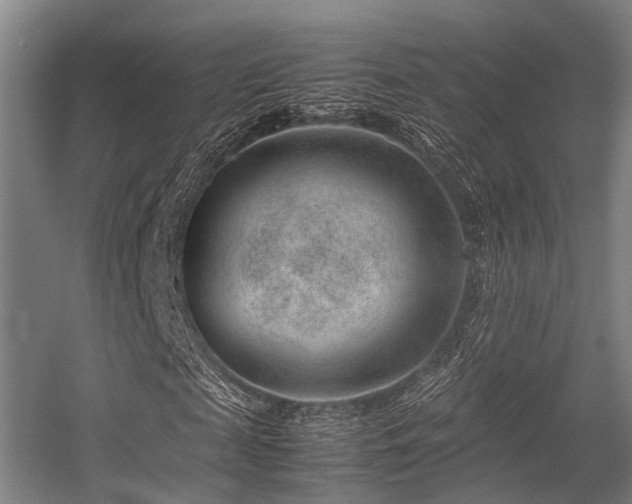 X0000057080817200509120918