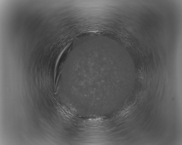 X0000057080818200509120918