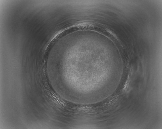 X0000057080823200509120918