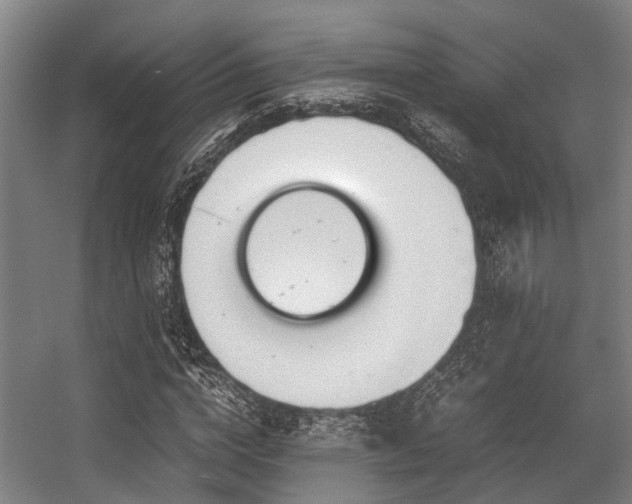 X0000057080824200509120918