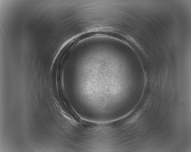 X0000057080830200509120918