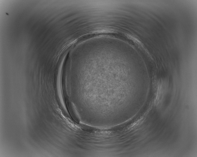 X0000057080833200509120918