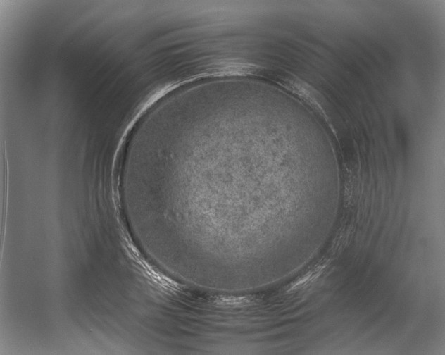 X0000057080835200509120918