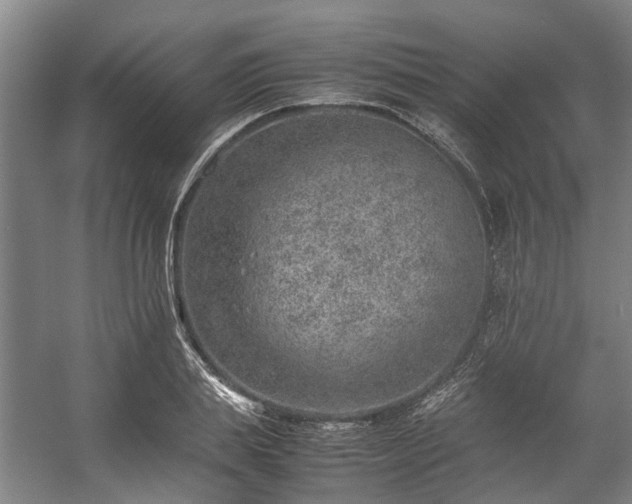 X0000057080839200509120918