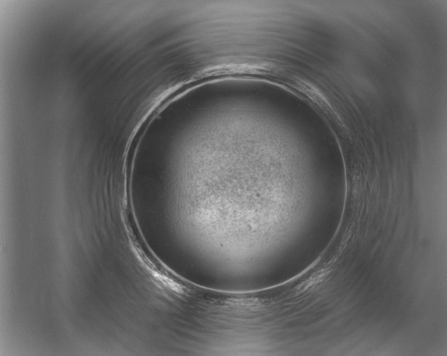 X0000057080844200509120918