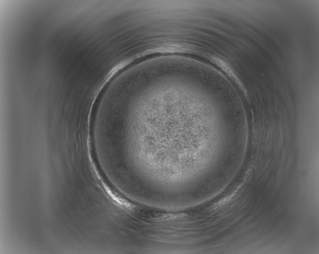 X0000057080845200509120918