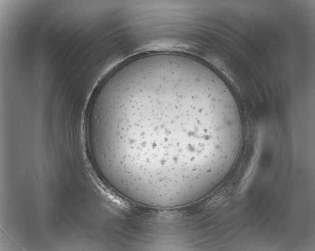 X0000057080848200509120918