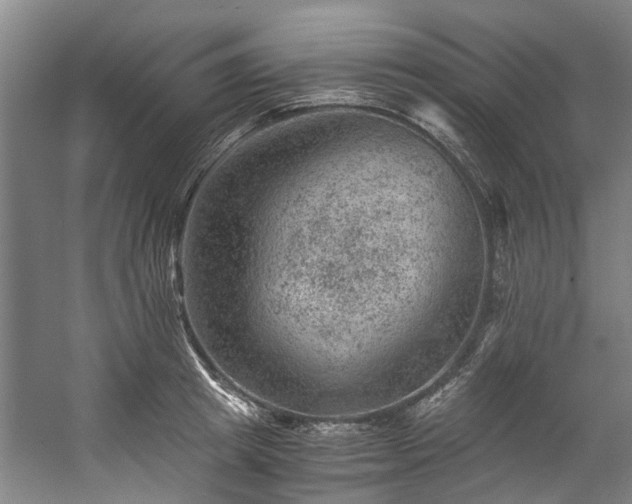 X0000057080849200509120918