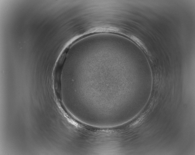 X0000057080854200509120918