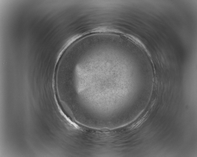 X0000057080855200509120918