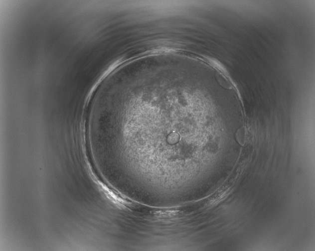 X0000057080859200509120918