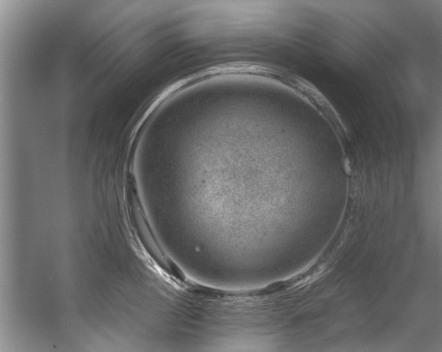 X0000057080860200509120918