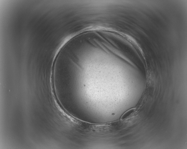 X0000057080863200509120919