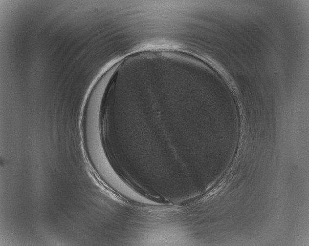 X0000057080864200509120919