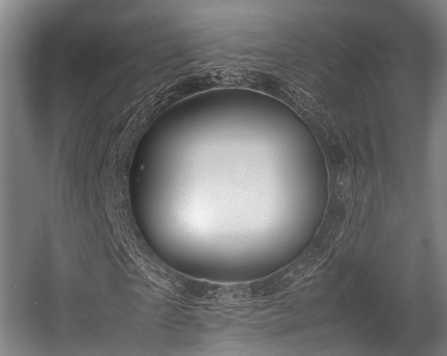 X0000057080865200509120918