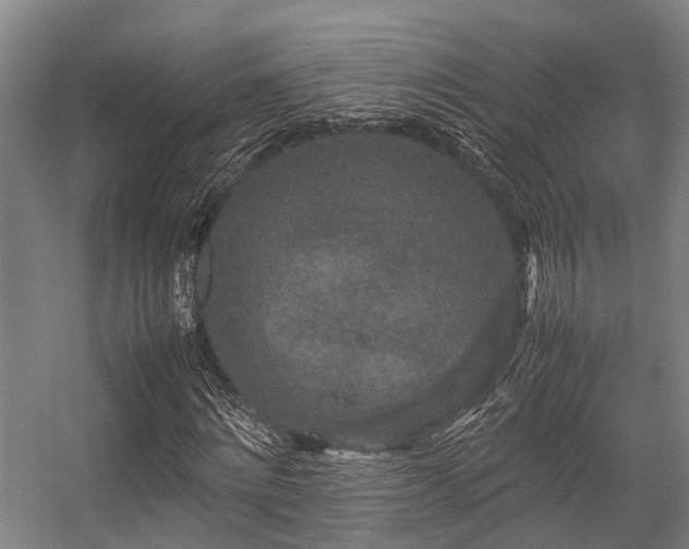 X0000057080868200509120918