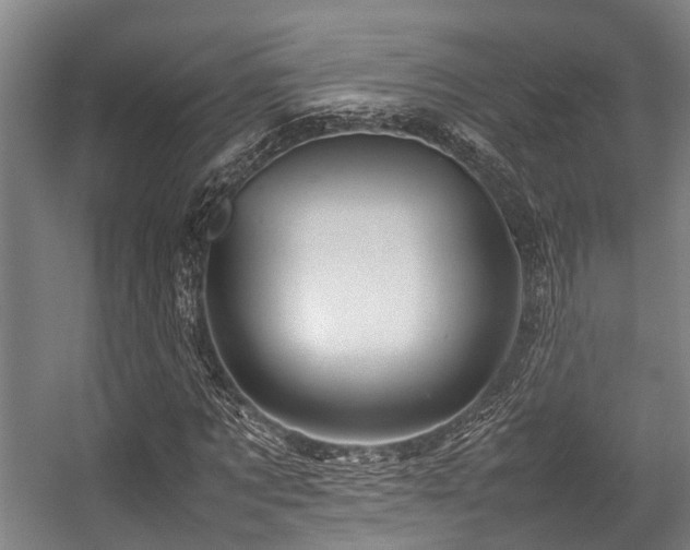 X0000057080869200509120918