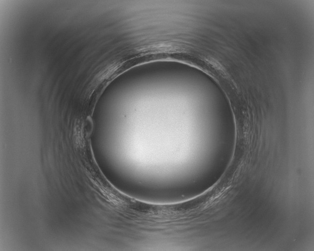 X0000057080873200509120918