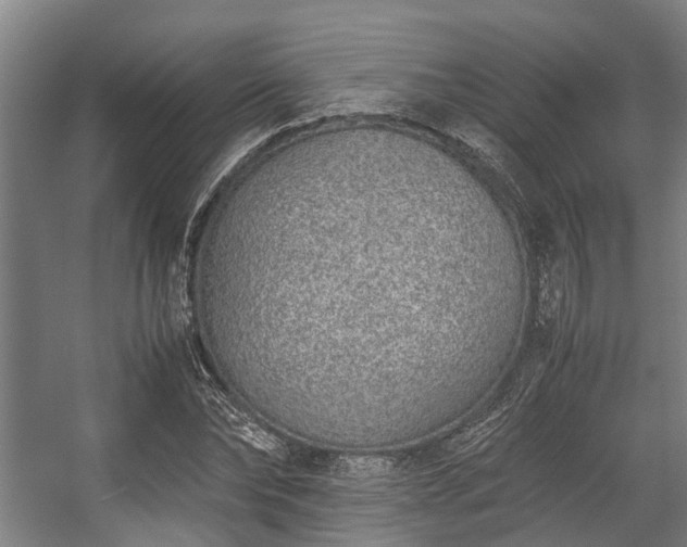 X0000057080878200509120917