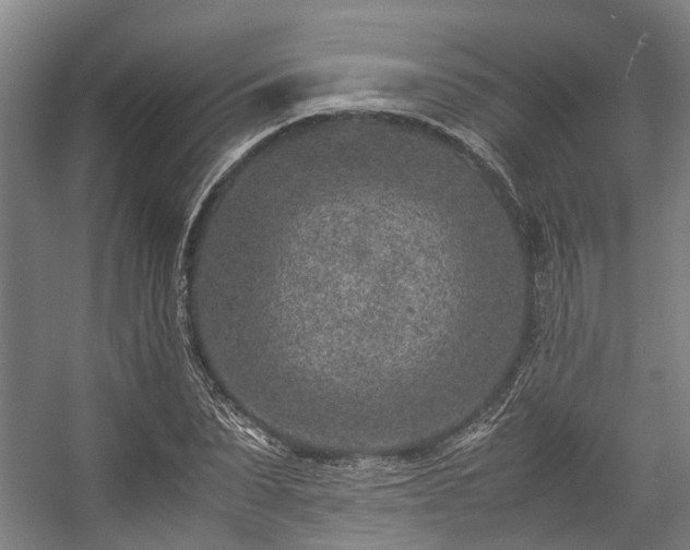 X0000057080879200509120917